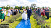 Andrea & Philip Sneak Peek