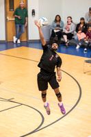 AHCS Boys Volleyball 2024