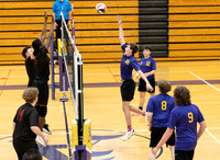 AHCS vs Avondale Volleyball